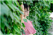 电影真爱如血